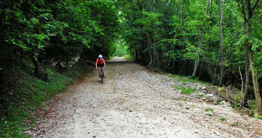 Escursioni in Mountain Bike 3(DE)