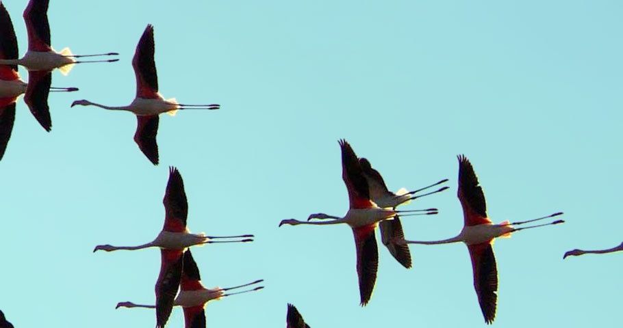 Le Oasi del Mugello 4(DE)
