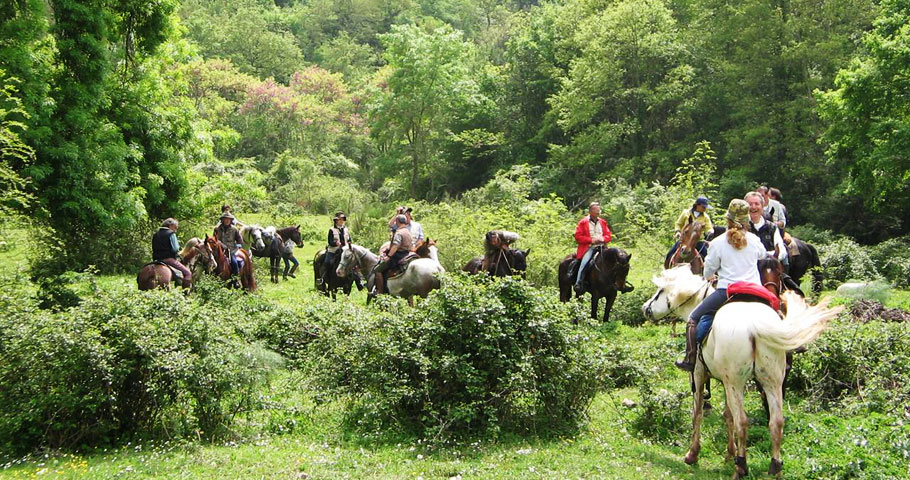 Cavalli del Mugello 2(EN) Cavalli del Mugello 2(EN)