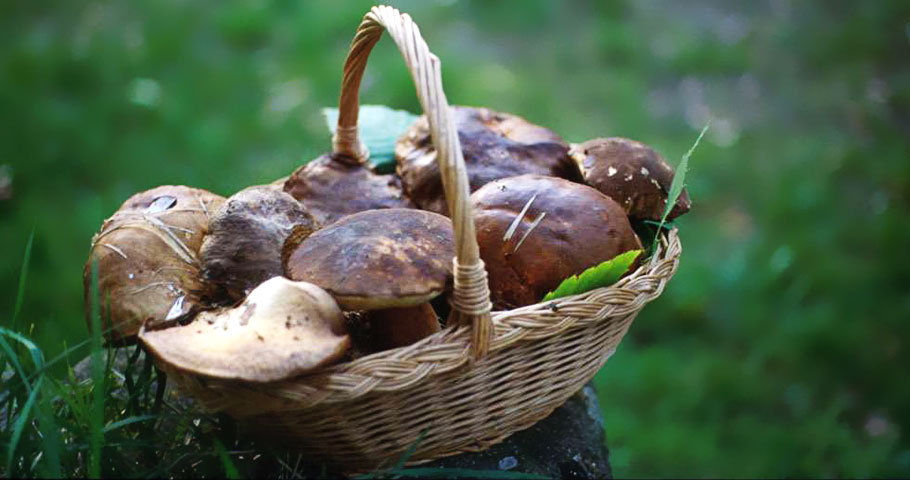 La Cucina del Mugello 4(EN)