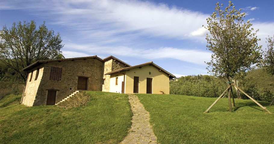 Tenuta il cerro 2
