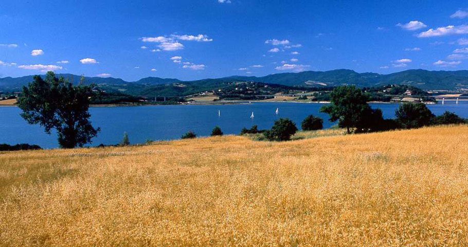 Trekking nel Mugello 3